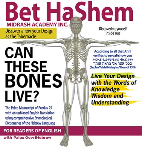 Discover anew your design as the tabernacle.